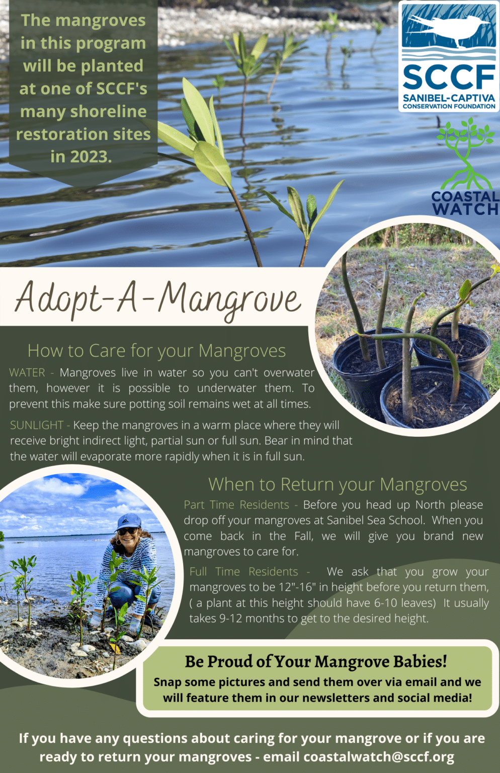 Adopt a Mangrove