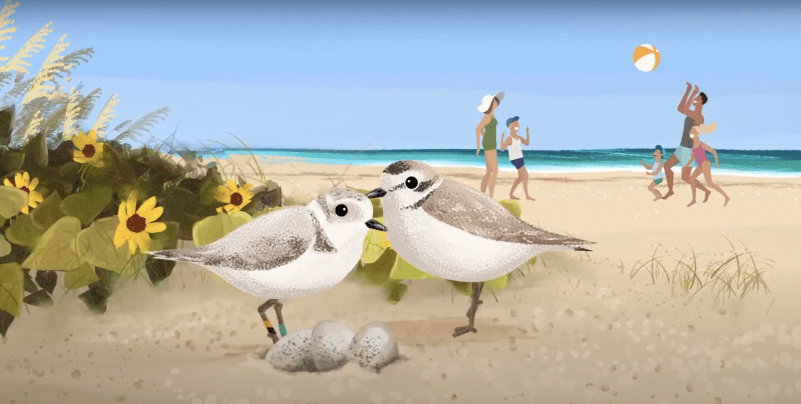 animation of two shorebirds and a family playing on the beach