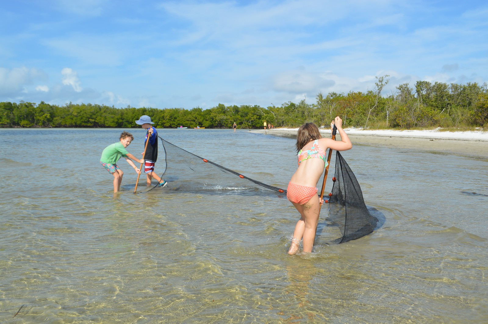 After School Seining Begins at Sanibel Sea School