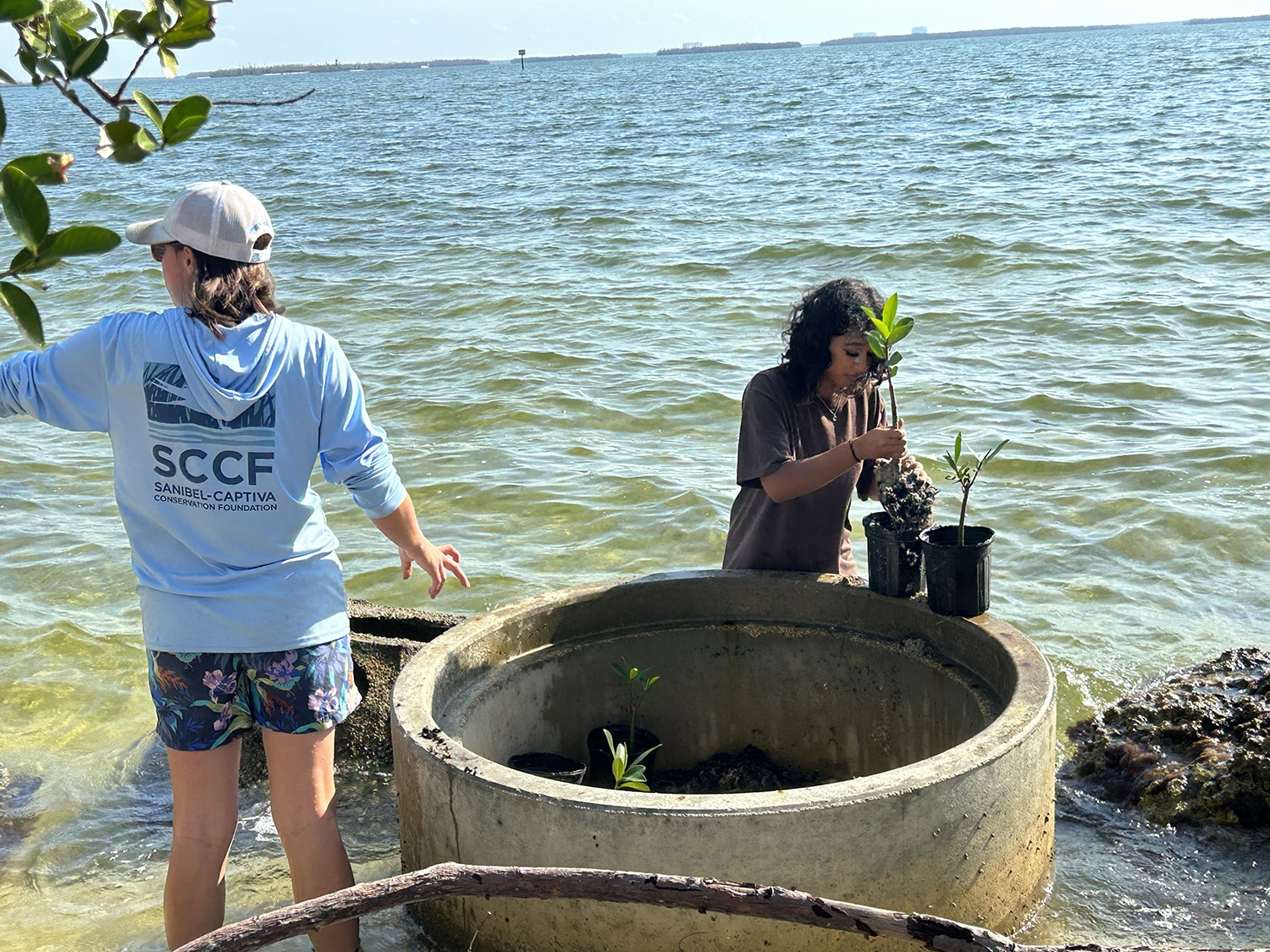 child and staff member planting mangroves