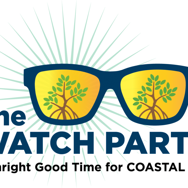 The Watch Party sccf