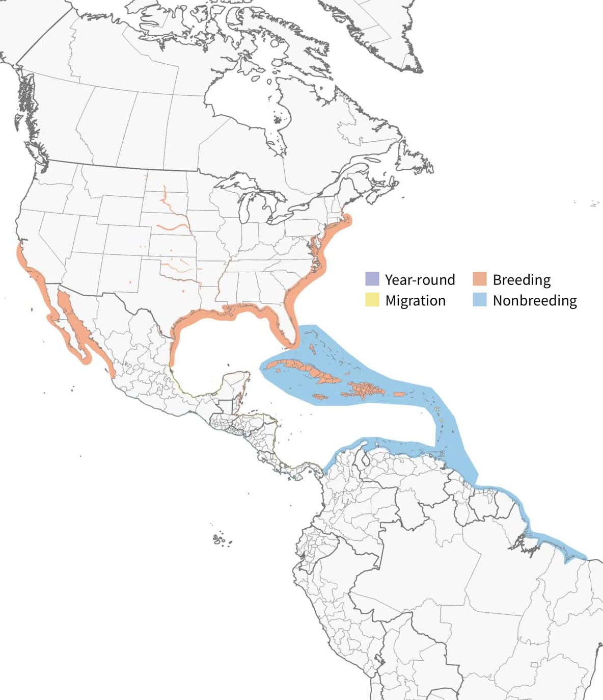 range map for least terns