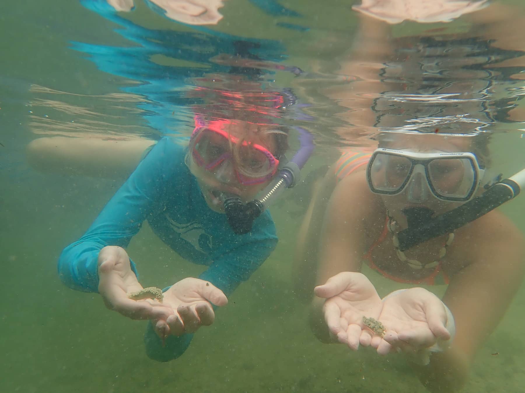Two Sanibel Sea School campers snorkeling coral reef