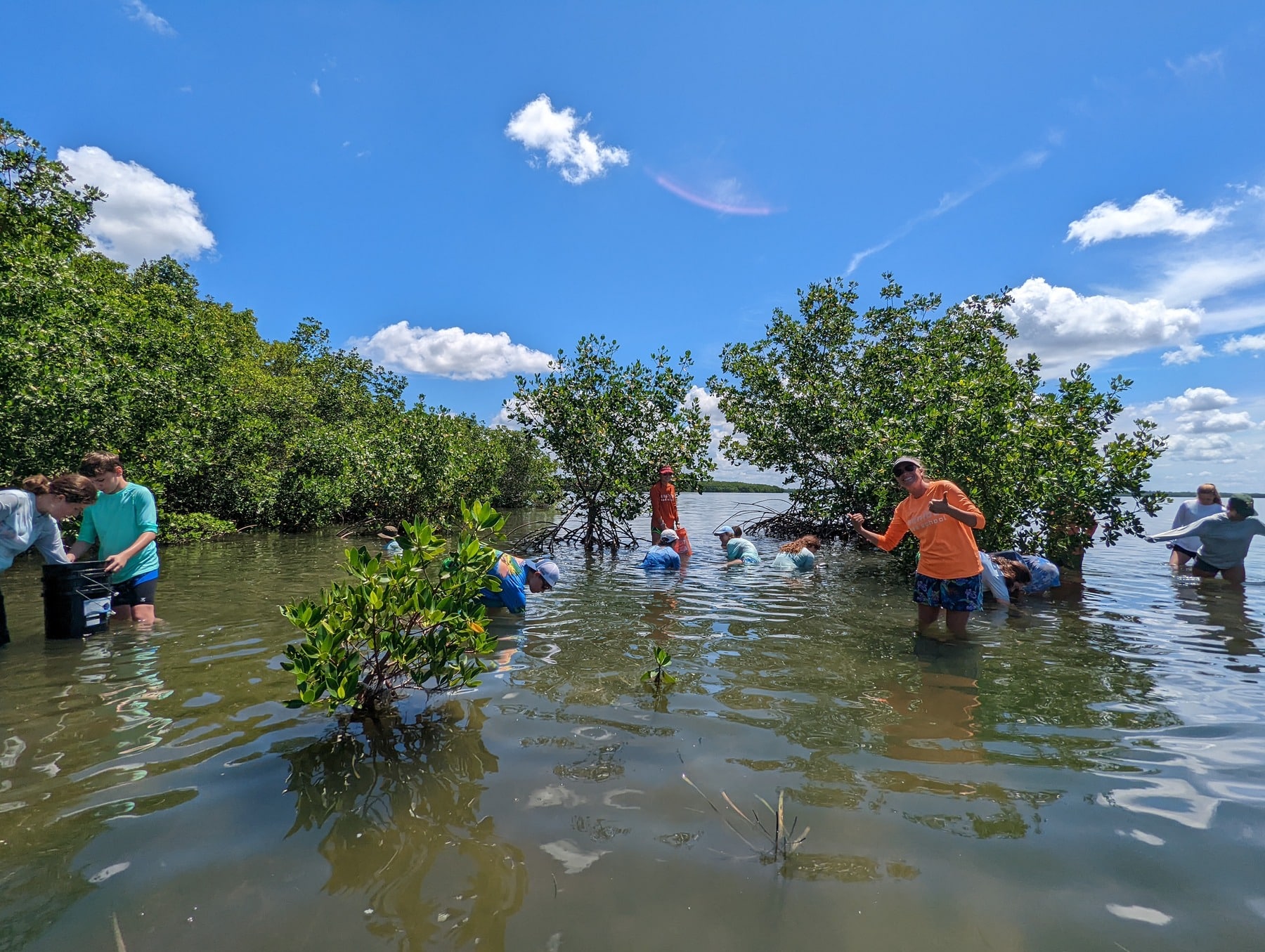 Sanibel Sea School campers wading by mangroves