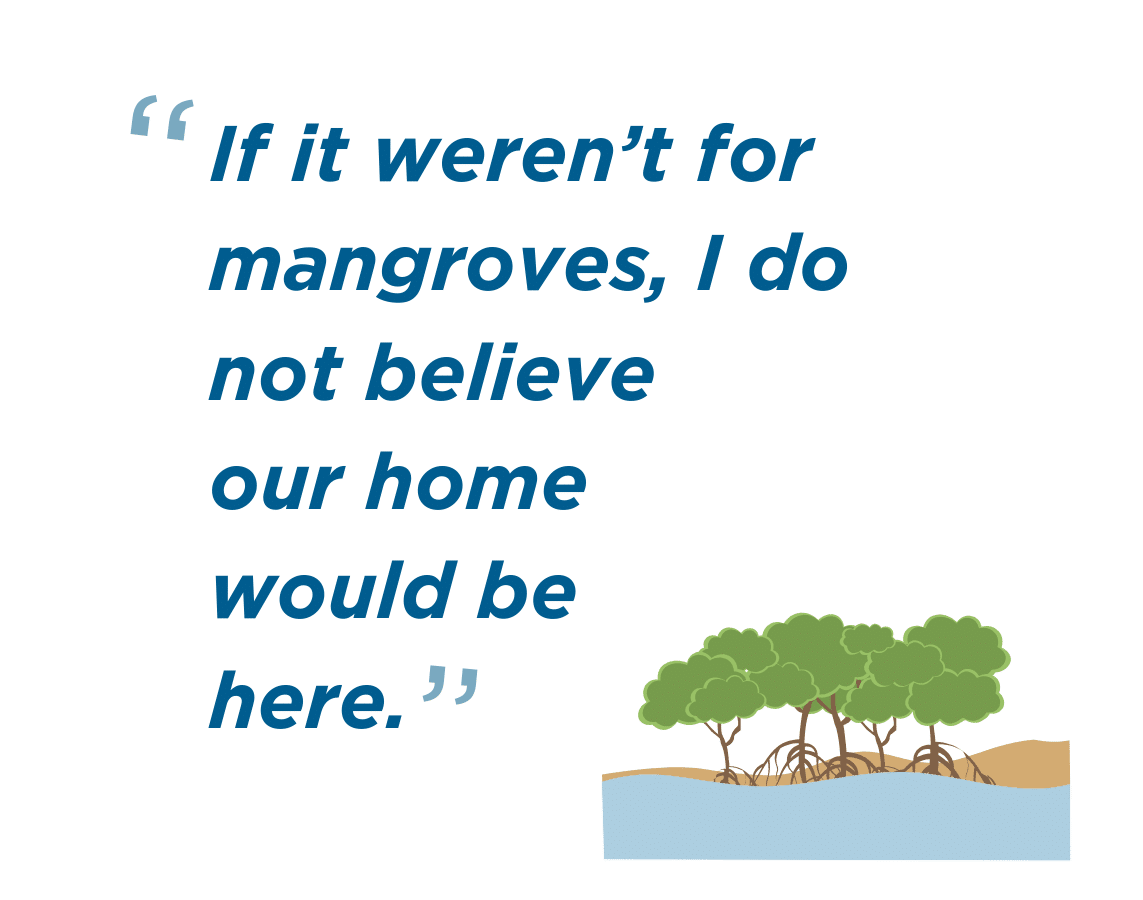 if it weren't for mangroves, i do not believe our home would be here
