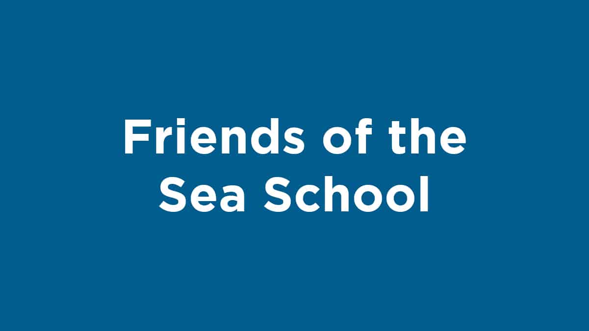 https://sccf.org/wp-content/uploads/2024/02/friends-of-the-sea-school.jpg