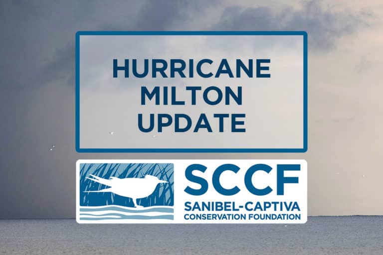 SCCF Prepares for Hurricane Milton SanibelCaptiva Conservation Foundation
