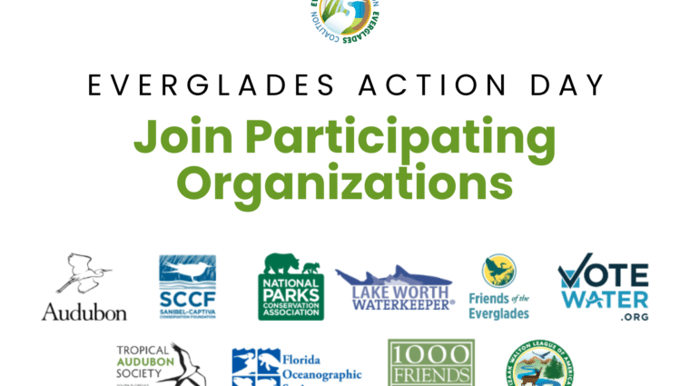 everglades action day 2025