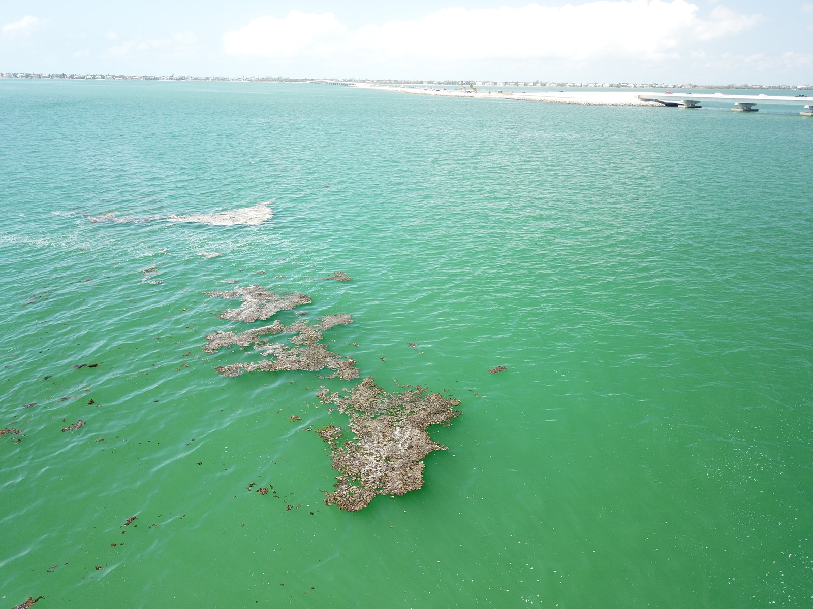 Large Mats With Causeway May 2025 Resize Large Mats With Causeway May 2025 Resize