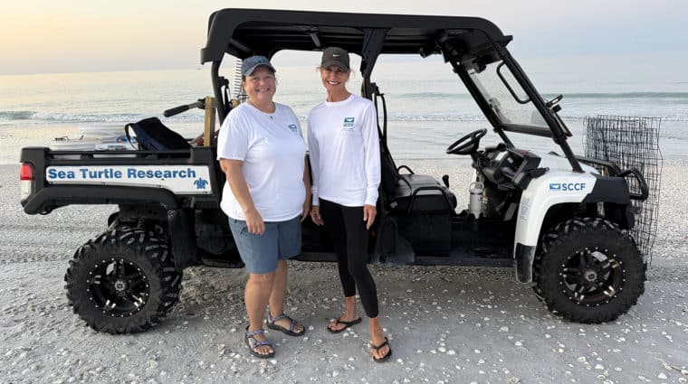 sea turtle volunteers