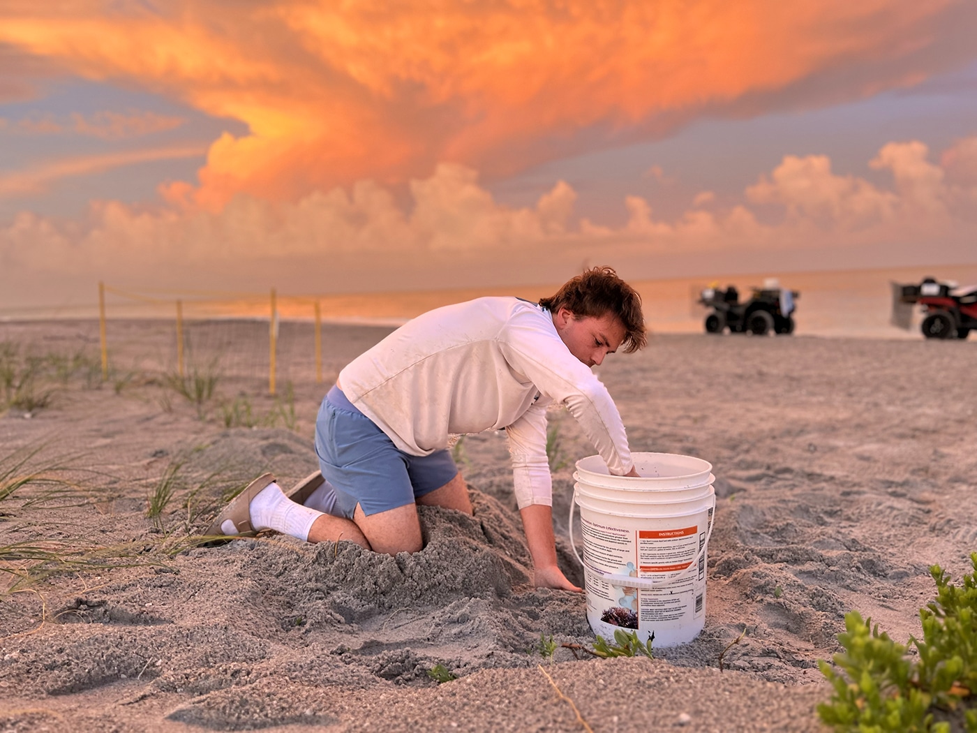 Captiva Nest Relocation2 captiva nest relocation sea turtles