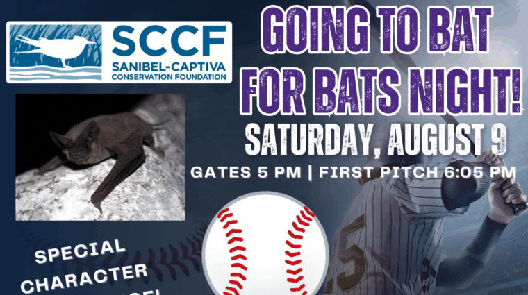 Going to bat for bats