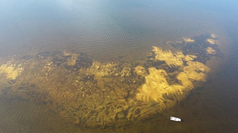 aerial shot of sccf restored oyster reef in San Carlos bay near sanibel and Cape Coral