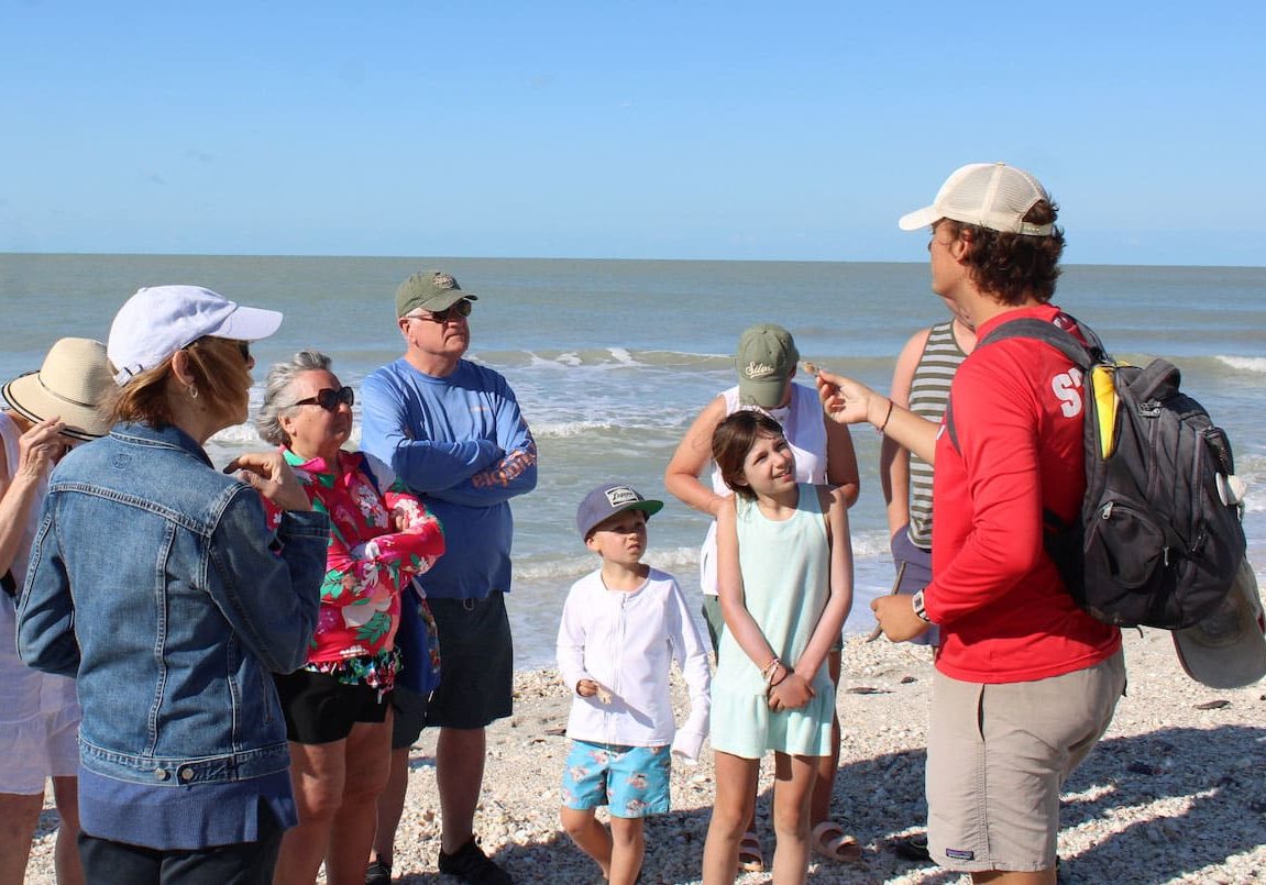 Beach Combing