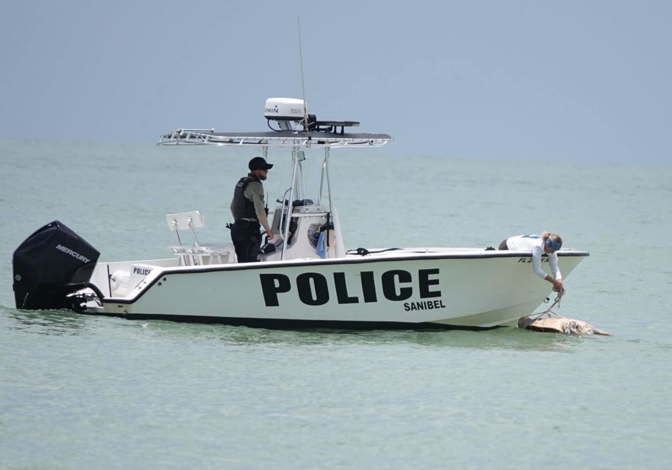 sea turtle stranding response with police boat