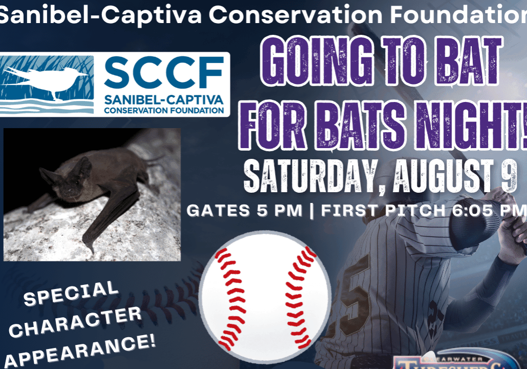 Going to bat for bats