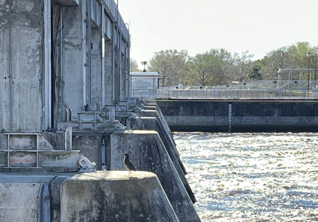 franklin lock and dam with bird perched on top