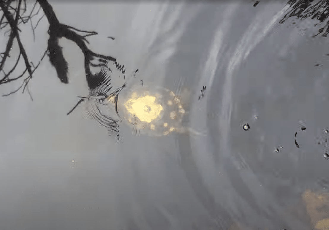 In Water