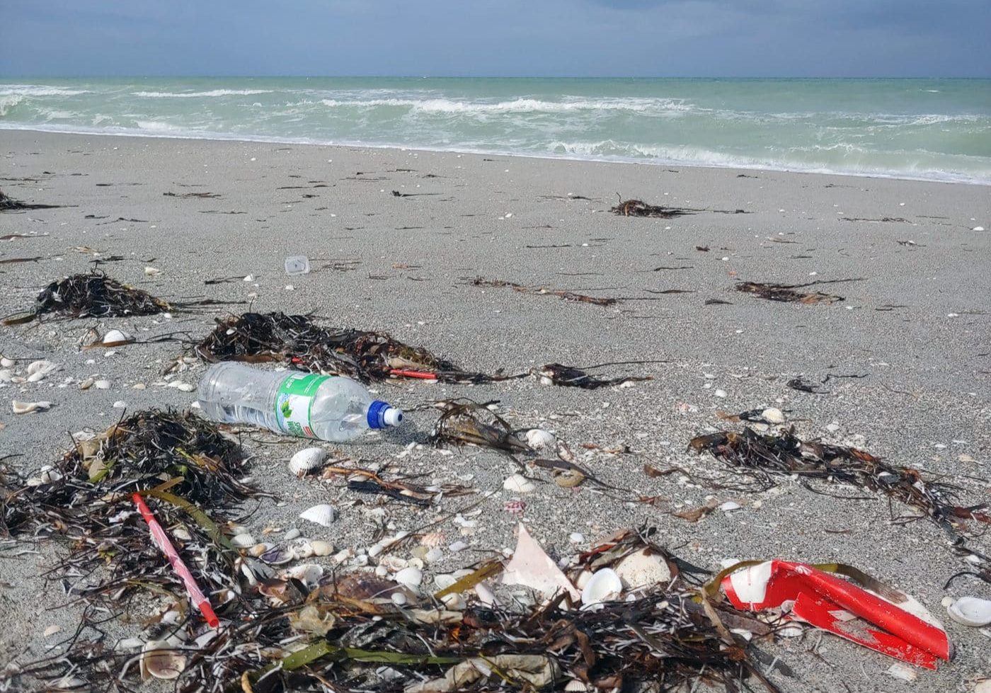 Ocean Trash 7