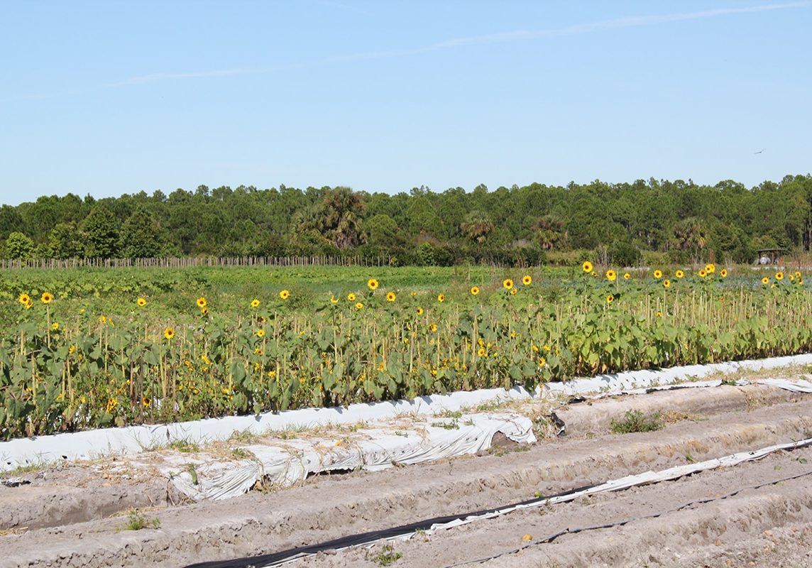 Worden Farm